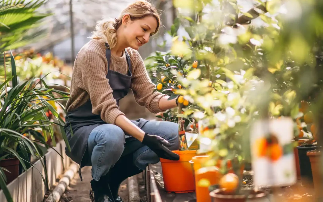 El Secreto Verde: beneficios de la arena sílica en la jardinería y la horticultura